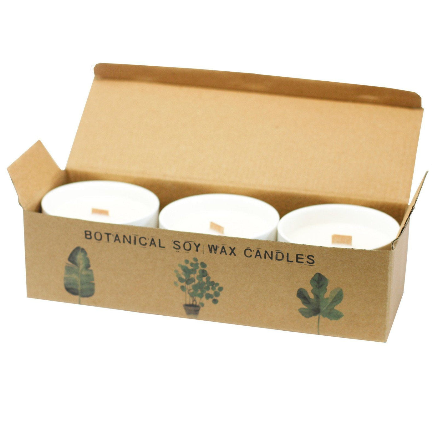 Set Of 3 Medium Botanical Fragranced Candles Gift Set - Lemon Honeysuckle