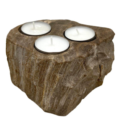 Natural Ecological Triple Petrified Wood Tealight Holder.