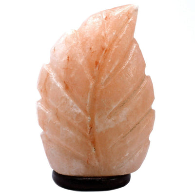 Crafted Fern Leaf Shaped Himalayan Salt lamp On A Wooden Base.