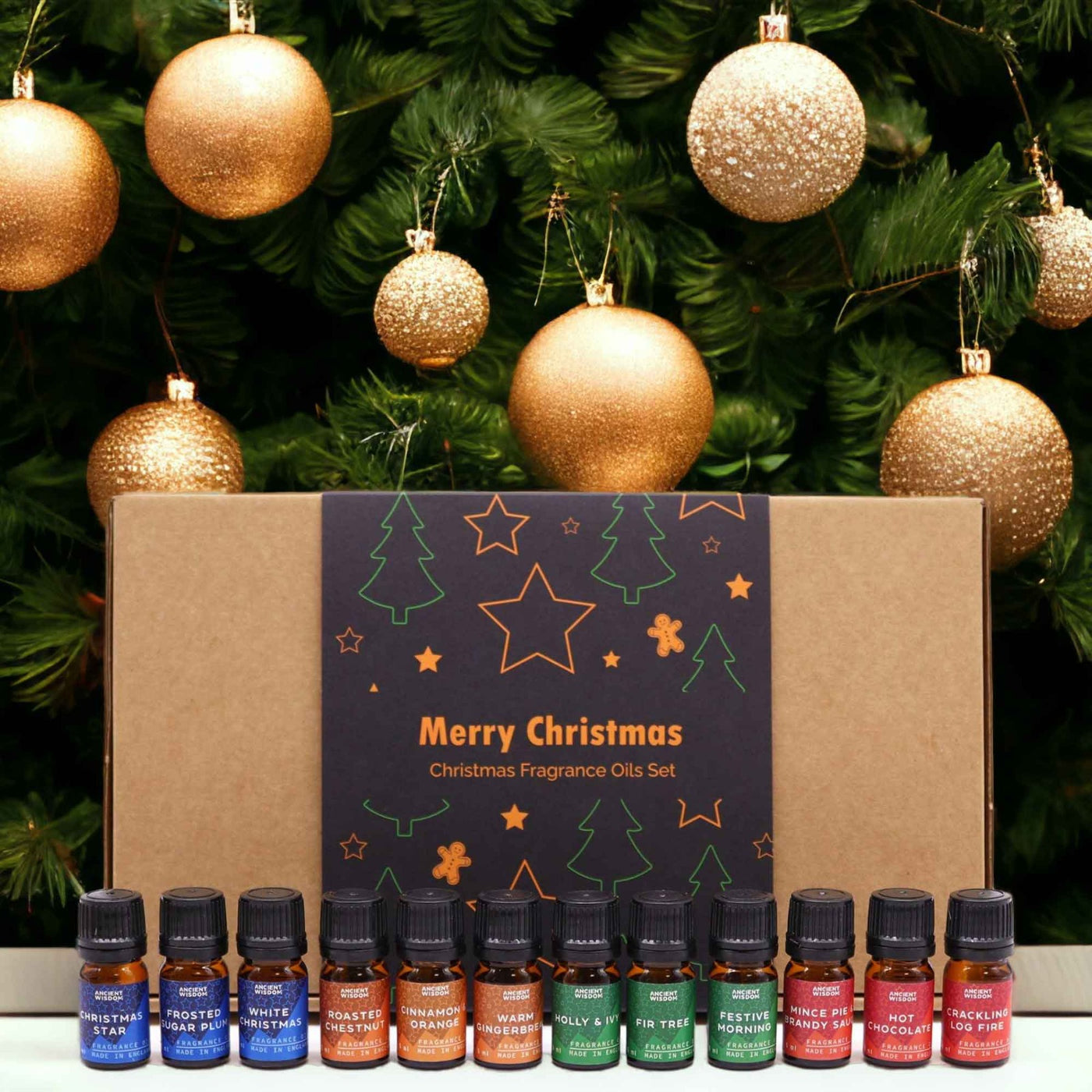 Festive Christmas Scented Home Fragrance Oils Gift Set. 