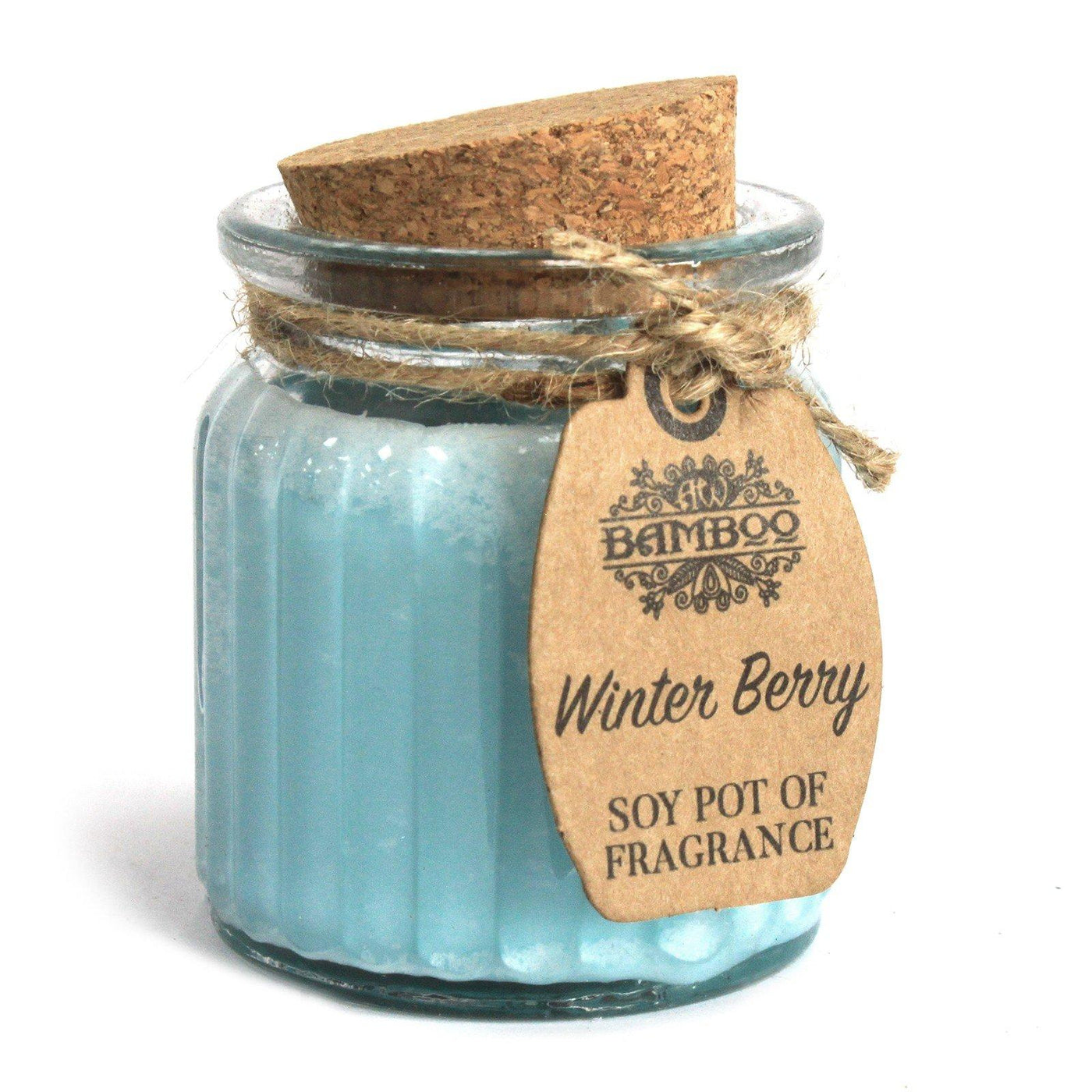 2x Winter Berry Soy Pot of Fragrance Candles.
