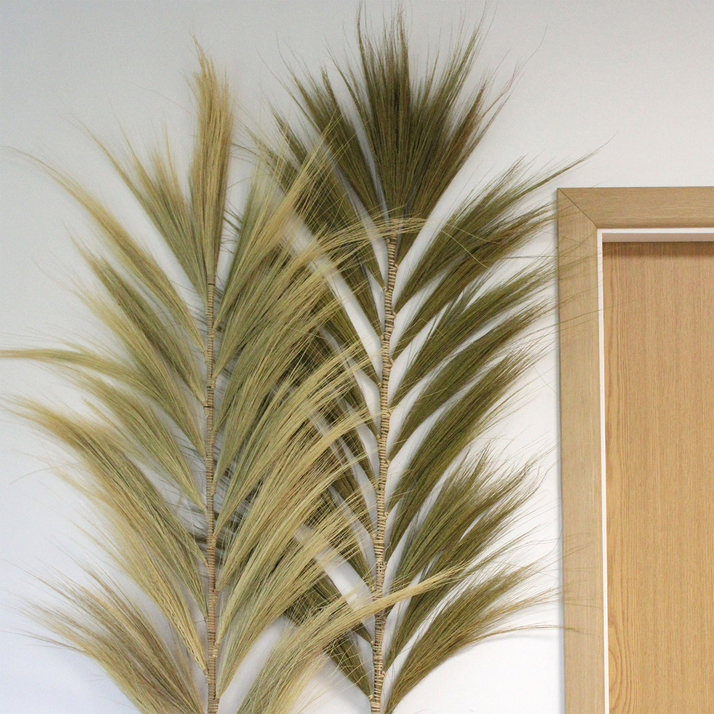 Set Of 3 Natural Large Exotic Dried Rayung Pampas Decorative Grass 2m.