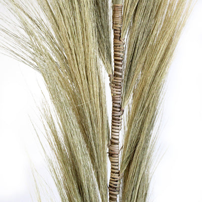 Set Of 3 Natural Large Blonde Exotic Dried Rayung Pampas Decorative Grass 1.6m.