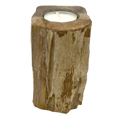 Natural Ecological Single Tall Petrified Wood Tealight Holder.