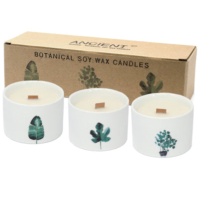Set Of 3 Medium Botanical Fragranced Candles Gift Set Lemon Honeysuckle