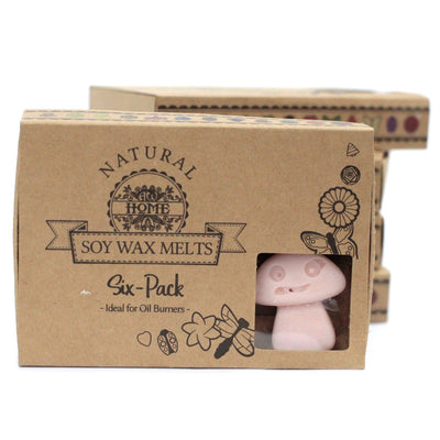 Box of 6 Soy Toadstool Shaped Fragrance Soy Wax Melts - Old Ginger