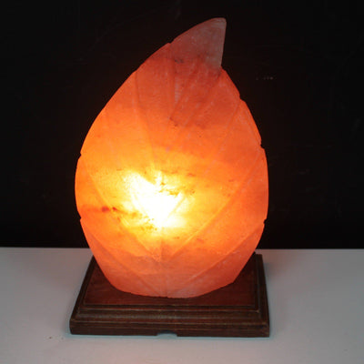 Fern Leave Shape Himalayan Salt Lamp On A Wooden Base. 