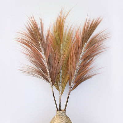 Set Of 3 Large Exotic Dried Rayung Pampas Decorative Grass Orange 1.6m.
