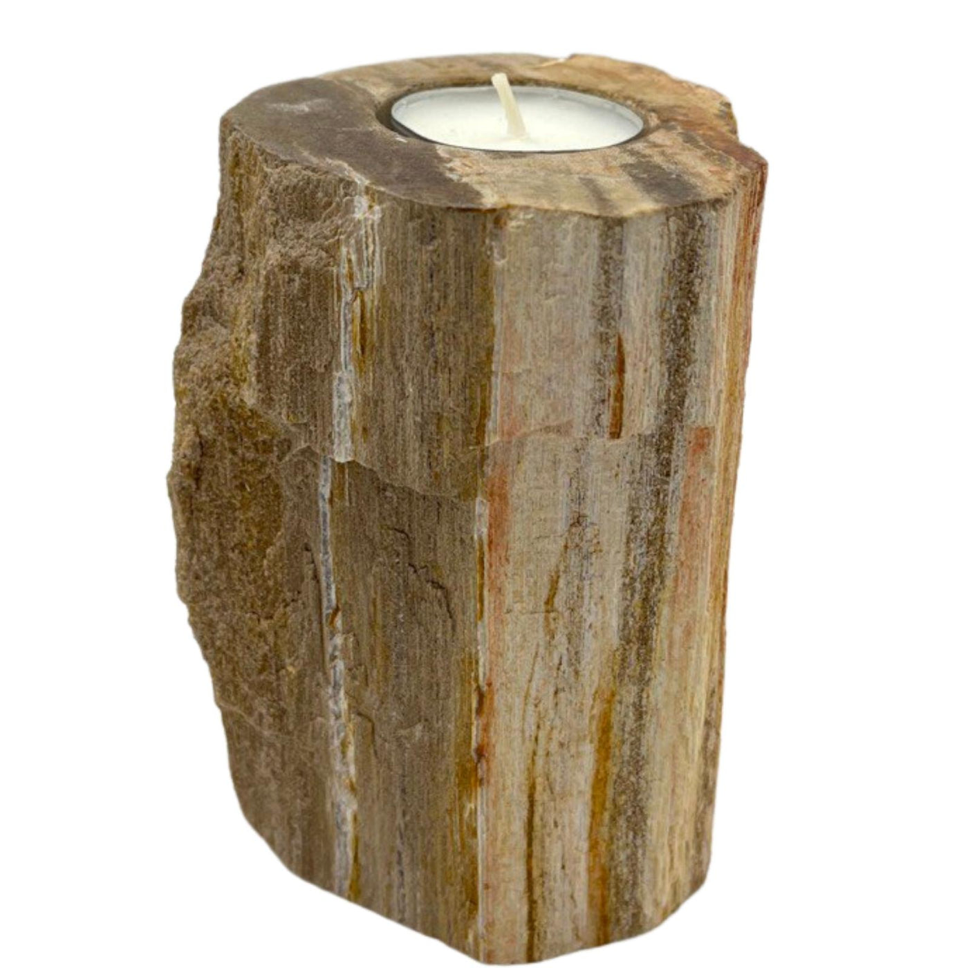 Natural Ecological Single Tall Petrified Wood Tealight Holder.