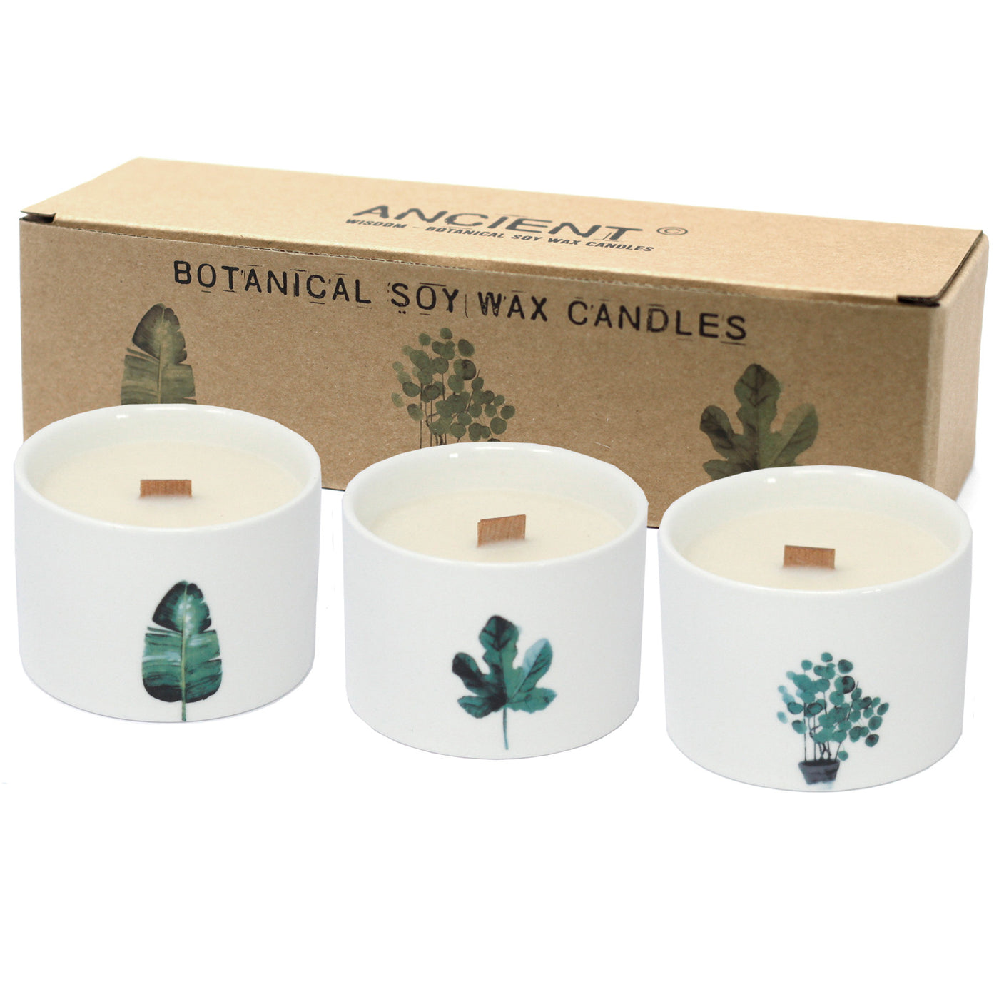 Set Of 3 Medium Botanical Fragranced Candles Gift Set Japanese Garden