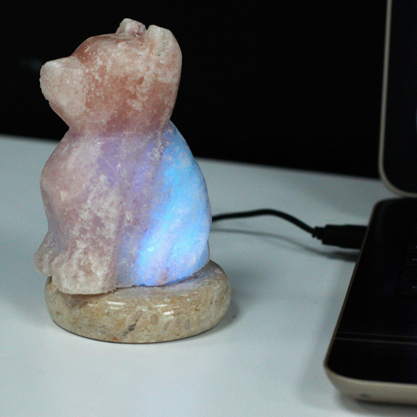 Small USB Colour Changing Dog Shaped Himalayan Salt Lamp